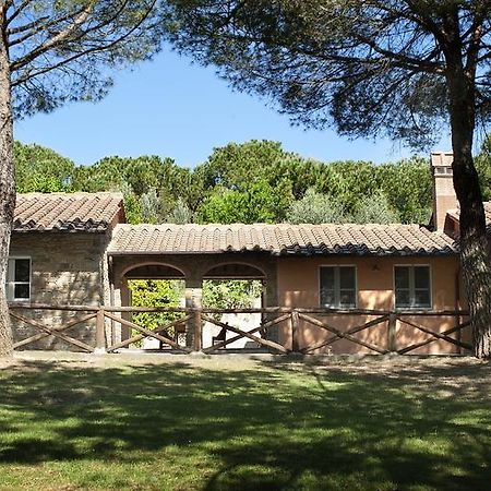 Podere Poggio Mendico 阿雷佐 外观 照片