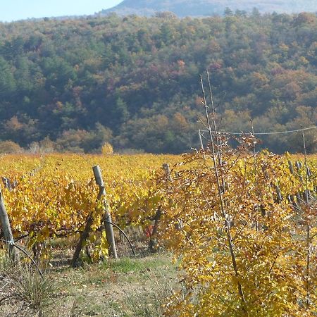 阿雷佐Podere Poggio Mendico别墅 外观 照片