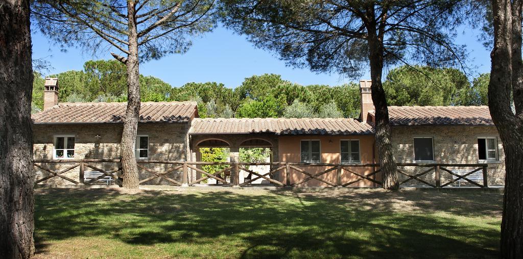 Podere Poggio Mendico 阿雷佐 外观 照片
