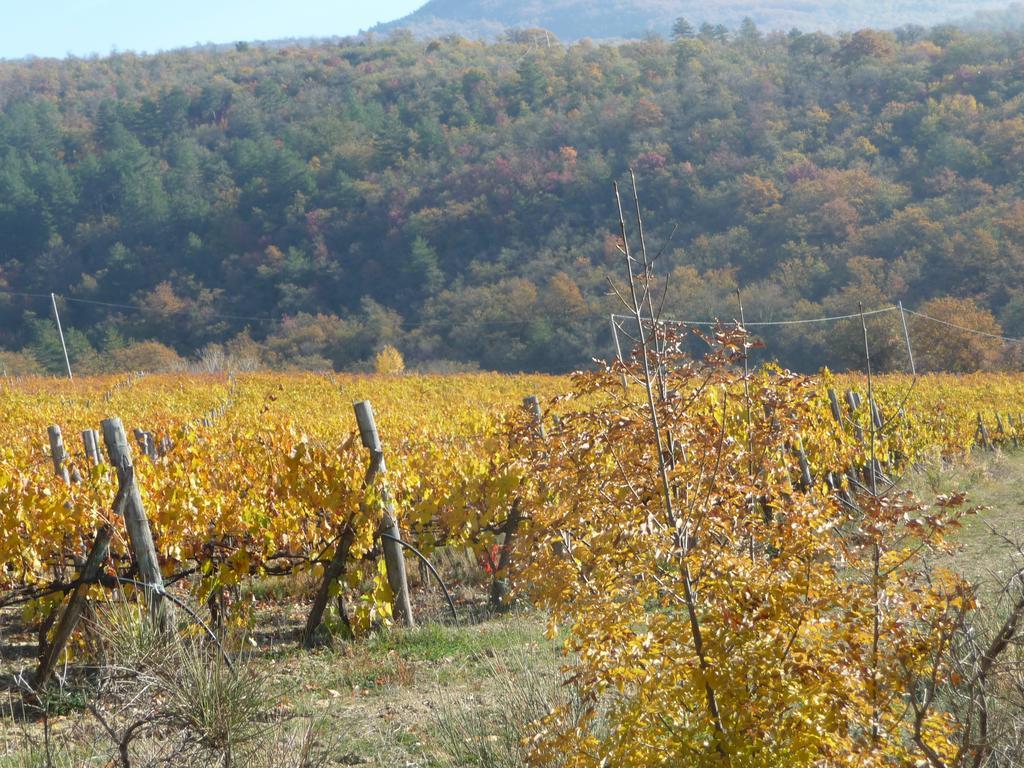 阿雷佐Podere Poggio Mendico别墅 外观 照片